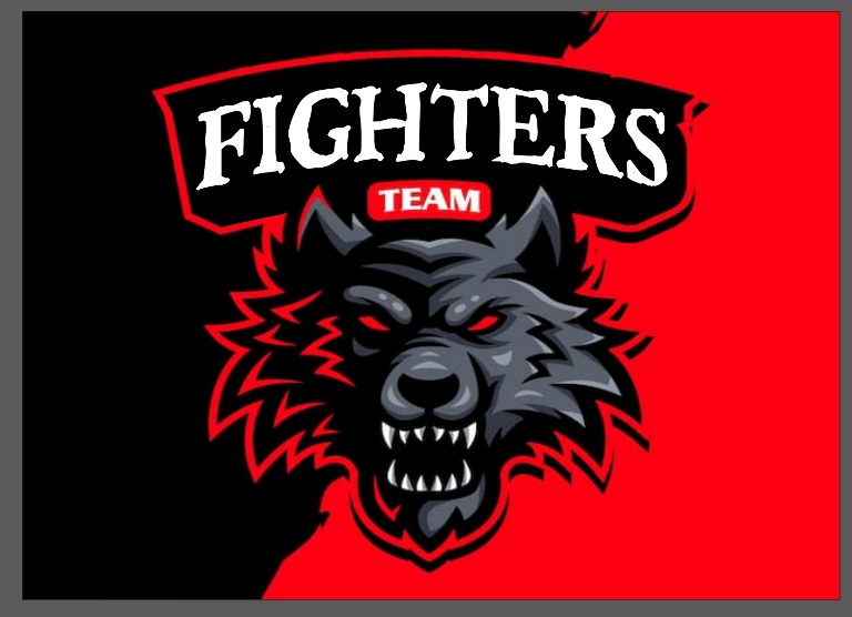 FIGHTERS TEAM